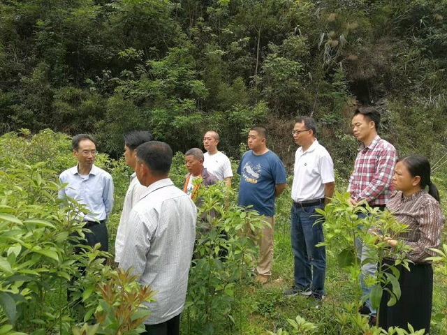 田间办.jpg